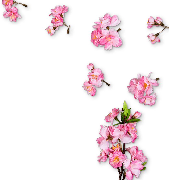 right-side-sakura